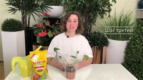 Посадка растений в грунт Серамис - YouTube