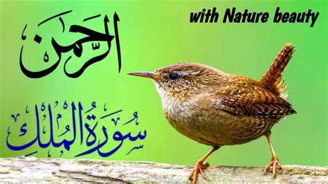 Nice Voice Of Surah Rahman With Surah Mulk Ep 72 Surat Rahman