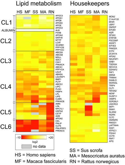 RNAseq SAGE Based Comparative Analysis Of Gene Expression In Liver