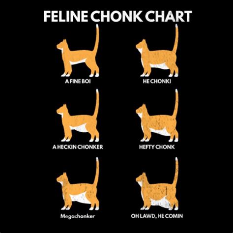 Cat Chonk Chart Imgflip, 51% OFF | www.elevate.in