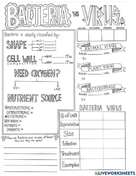 Bacteria And Virus Worksheets Worksheets Library