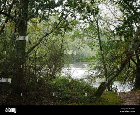 Battle, East Sussex, England Stock Photo - Alamy