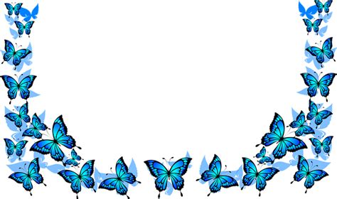 Mariposas Azules Marco Gráficos Vectoriales Gratis En Pixabay