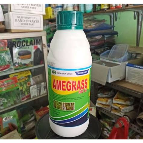 Jual Herbisida Amegrass 500SC 1Liter Pembasmi Gulma Pada Tanaman Tebu