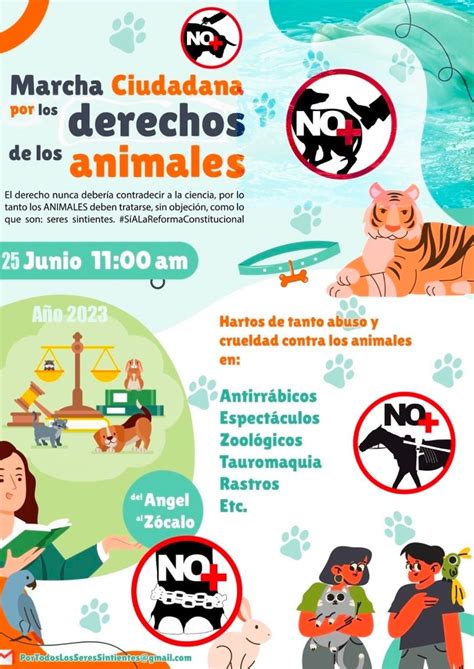 Marcharán contra maltrato animal Te decimos cuándo y dónde Aristegui