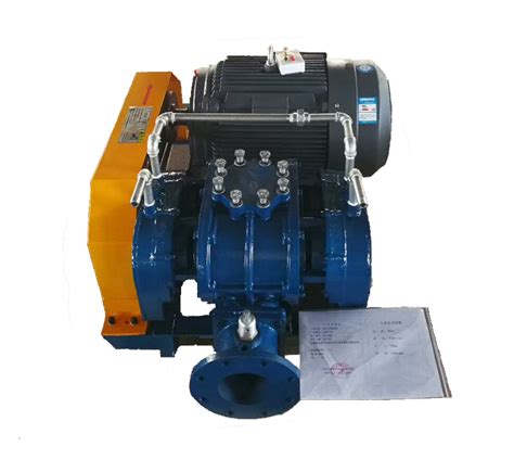 DSR300AG Shandong Roots Blower For Sale DSR G Roots Blowers Of