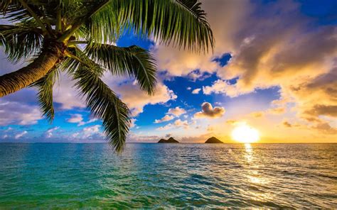 Top 5 Best Places To Watch The Sunrise On Oahu: Guide To Sunrise Spots ...