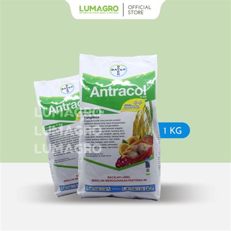 Jual Fungisida Antracol 70 WP 1kg Propineb Pengendali Penyakit Bulai