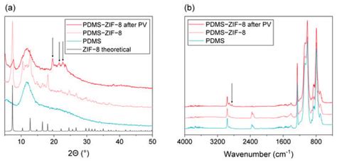 Membranes Free Full Text Stability Of Filled Pdms Pervaporation