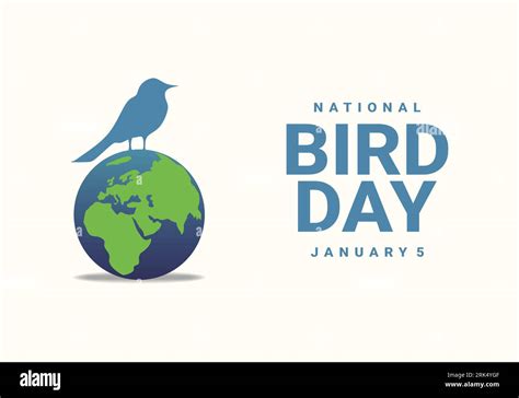 National Bird Day Background Celebrated On January 5 Stock Vector Image