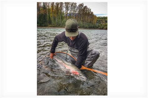 Fly Fishing Conservation Best Practices Santa Cruz Fly Fishing Club