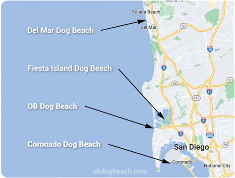 Ocean Beach Dog Beach Info Center