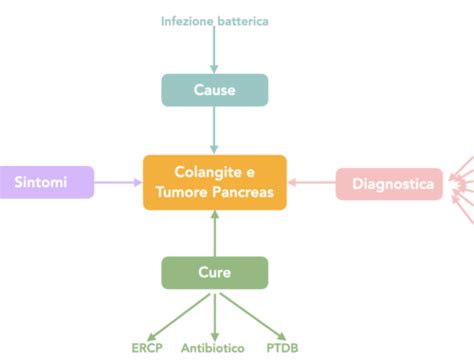 Cisti Pancreatiche Alcune Cose Da Sapere Codice Viola Associazione