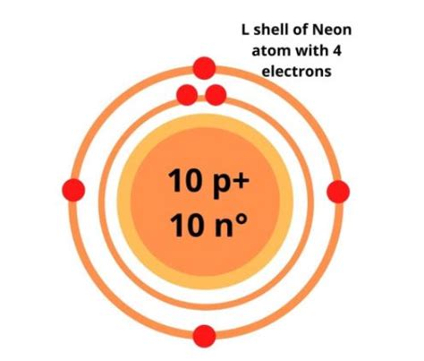 Neon Bohr Model — Diagram, Steps To Draw - Techiescientist