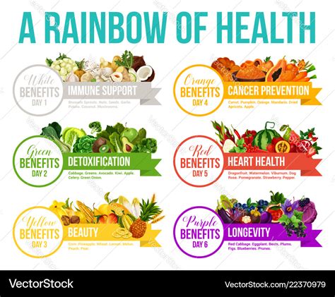 Color Diet Rainbow Fruits And Vegetables Vector Image