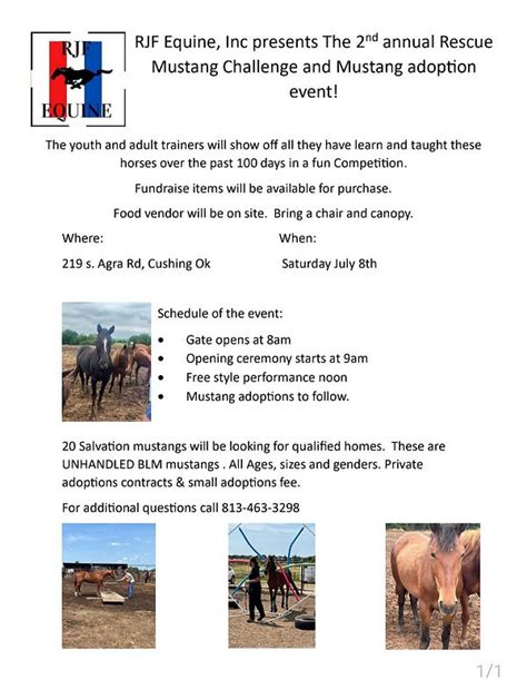 Gallery | Salvation Wild Mustang Sanctuary