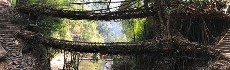 Double Root Bridge Loop: 7 Photos - Meghalaya, India | AllTrails