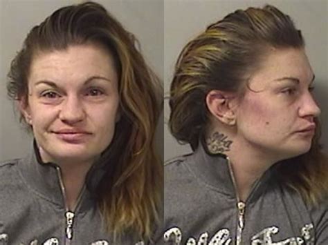 Genesee County Sheriffs Report Batavia Woman Facing Charges After