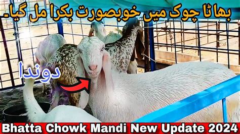 Bhatta Chowk Mandi New Update June Youtube