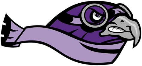 Stonehill Skyhawks Logo - Secondary Logo - NCAA Division I (s-t) (NCAA ...