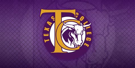 Texas College Sweeps Tabor College – Black College Nines