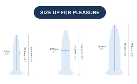 Amazon Glass Anal Dilator Set 3 Piece Trainer Butt Plug Kit Body Safe Borosilicate Glass