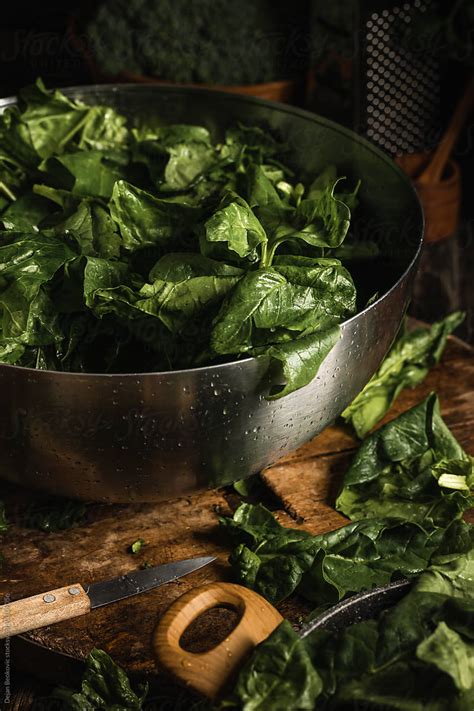 "Fresh Homemade Spinach Leaf" by Stocksy Contributor "Dejan Beokovic ...