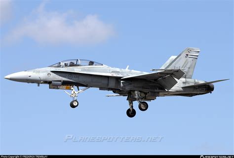 Royal Canadian Air Force Mcdonnell Douglas Cf Hornet Photo