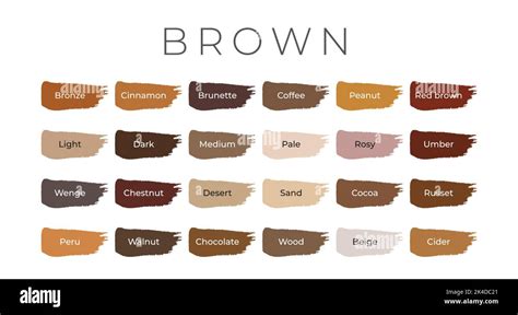 128 Shades Of Brown Color With Names Hex RGB CMYK Codes 49 OFF