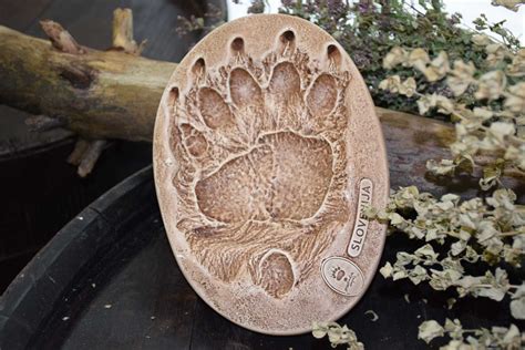bear-paw