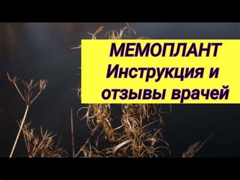 Мемоплант — инструкция по применению, отзывы врачей неврологов и аналоги