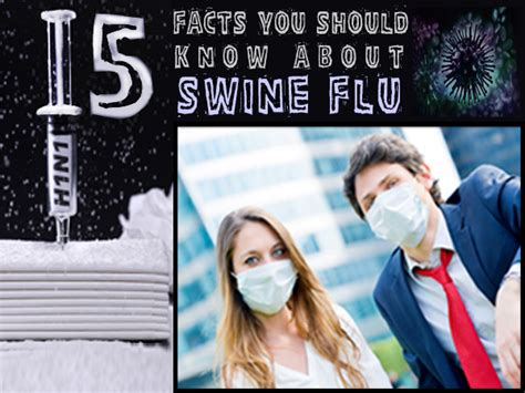 15 Facts You Should Know About Swine Flu