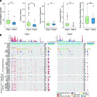 Tumor Immune Infiltration Dissection Of Two Subtypes In Tcga Cohort A