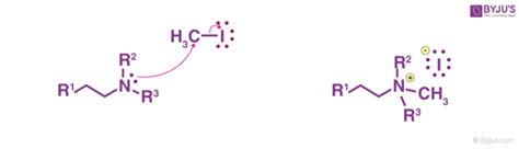 Hofmann Elimination - Step-by-step Mechanism, Illustrations