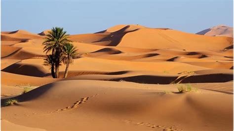 بحث عن المناطق الحيوية البرية موضوع