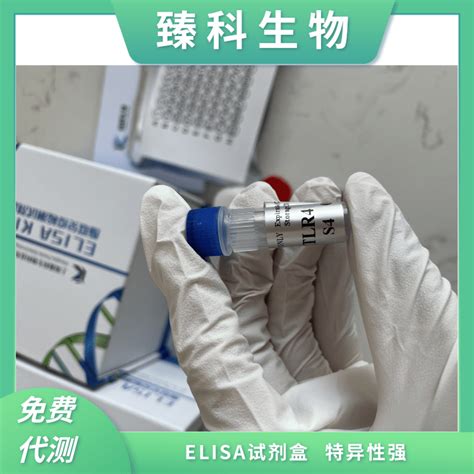 人脑源性神经营养因子bdnf）酶联免疫elisa试剂盒48t 上海臻科生物科技有限公司