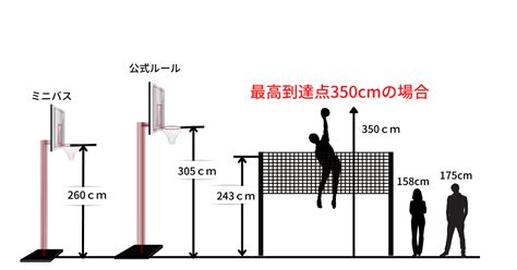 2022男子バレーの最高到達点ランキング、全選手の数値も公開！