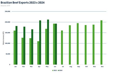 ANALYSIS: Brazilian Beef Exports Reach Record Highs in H1 2024 Amid