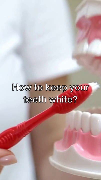 How To Keep Your Teeth White Video Dailymotion