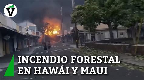 Incendios Forestales En Hawái Provocan Numerosos Daños Y Evacuaciones