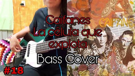 La C Lula Que Explota Bass Cover Youtube