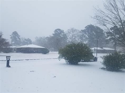 It's snowing in Savannah, Georgia! : r/pics