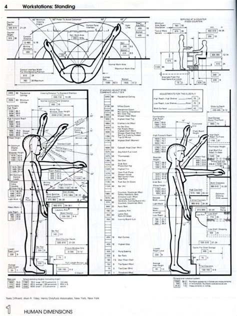 Kitchen: Ergonomics & Circulation – Engineering Feed