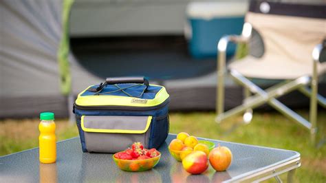 9 Best Coleman Lunch Box For Men For 2024 Storables