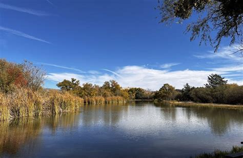 10 Best hikes and trails in Skyline Regional Park | AllTrails