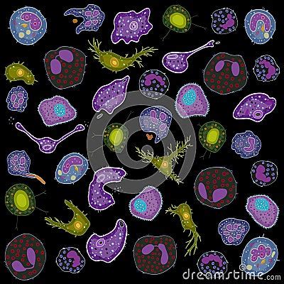 Set Of Innate Immune System Cells Vector Illustration CartoonDealer