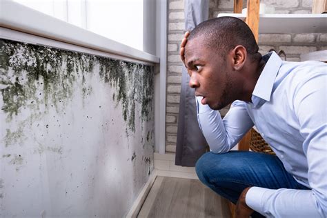 Can I Stay In My House With Black Mold Heartland Inspections