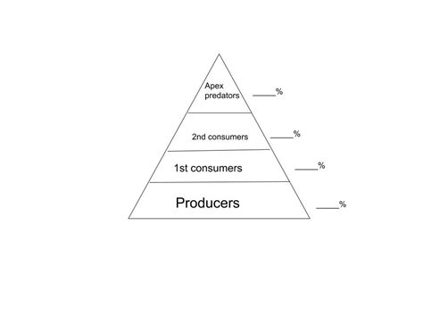 Biology Mid Term Diagram Quizlet