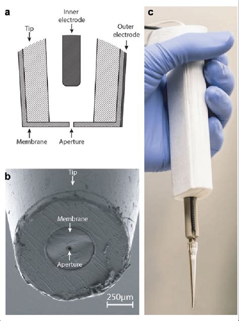 Design and implementation of a single-cell dispenser integrated in a... | Download Scientific ...