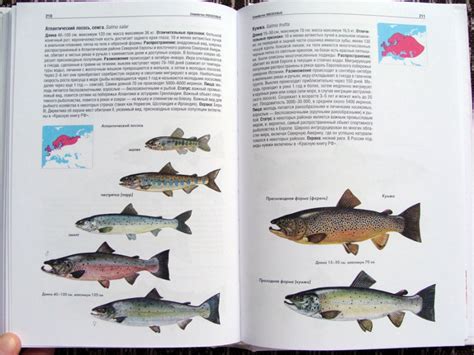 Книга: Атлас рыб. Определитель пресноводных видов Европы - Мэйтленд ...